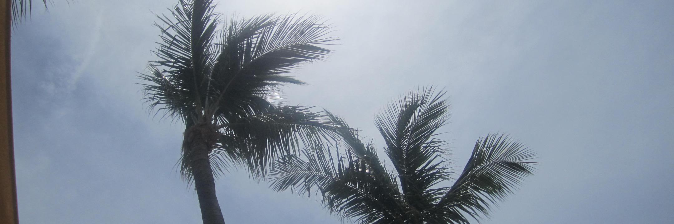 CaraCooper01's profile banner image