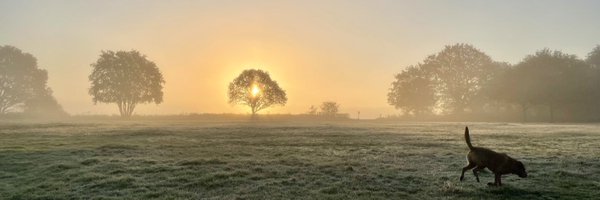 ellaterblanche Profile Banner