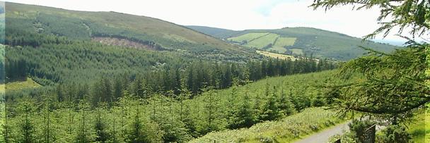 NoStringsWalkingClub banner