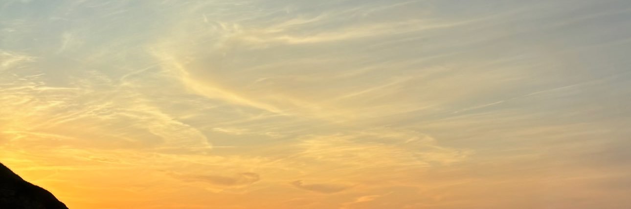 leaclne's profile banner image