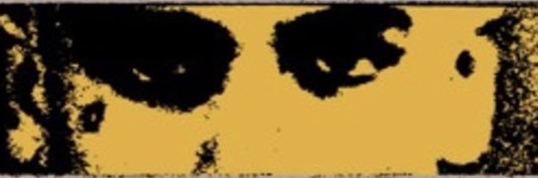 chumley17's profile banner image