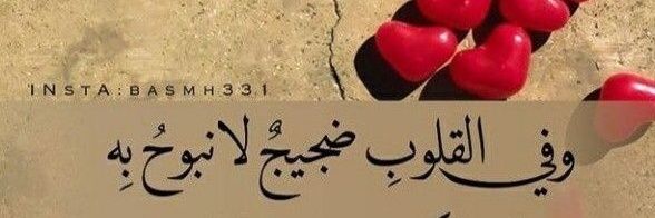 da75523faecc4ae's profile banner image