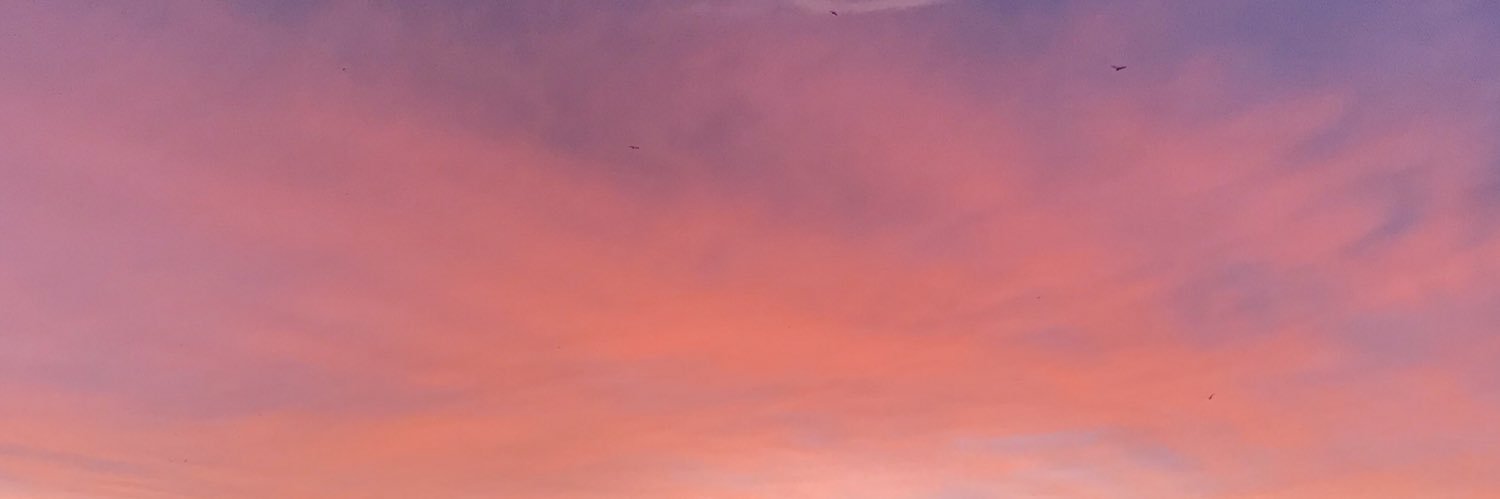 farruCouto's profile banner image