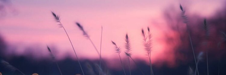 PinkMetalFan's profile banner image