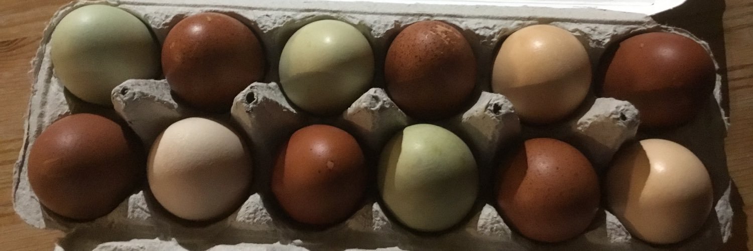 EggsManagement's profile banner image