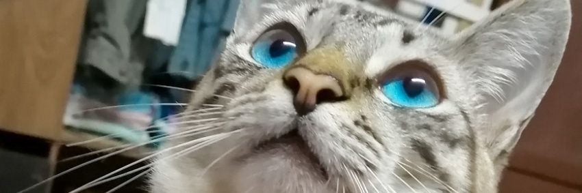 brusanz_'s profile banner image