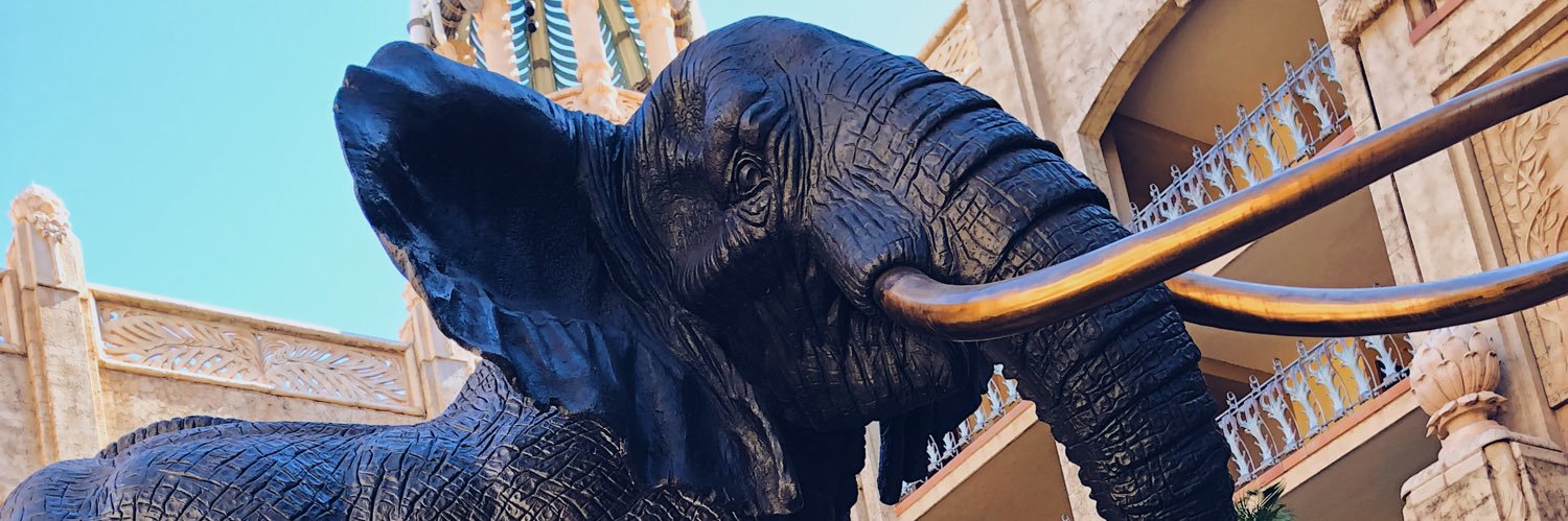 AleX_114K's profile banner image