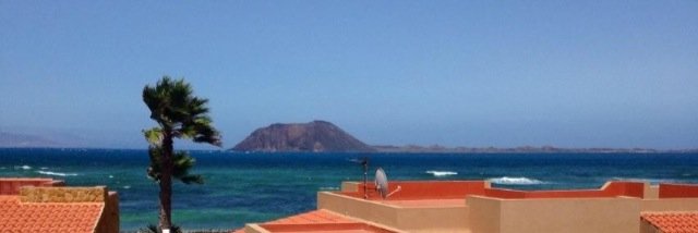 Tracy Le'Surf 💙 banner