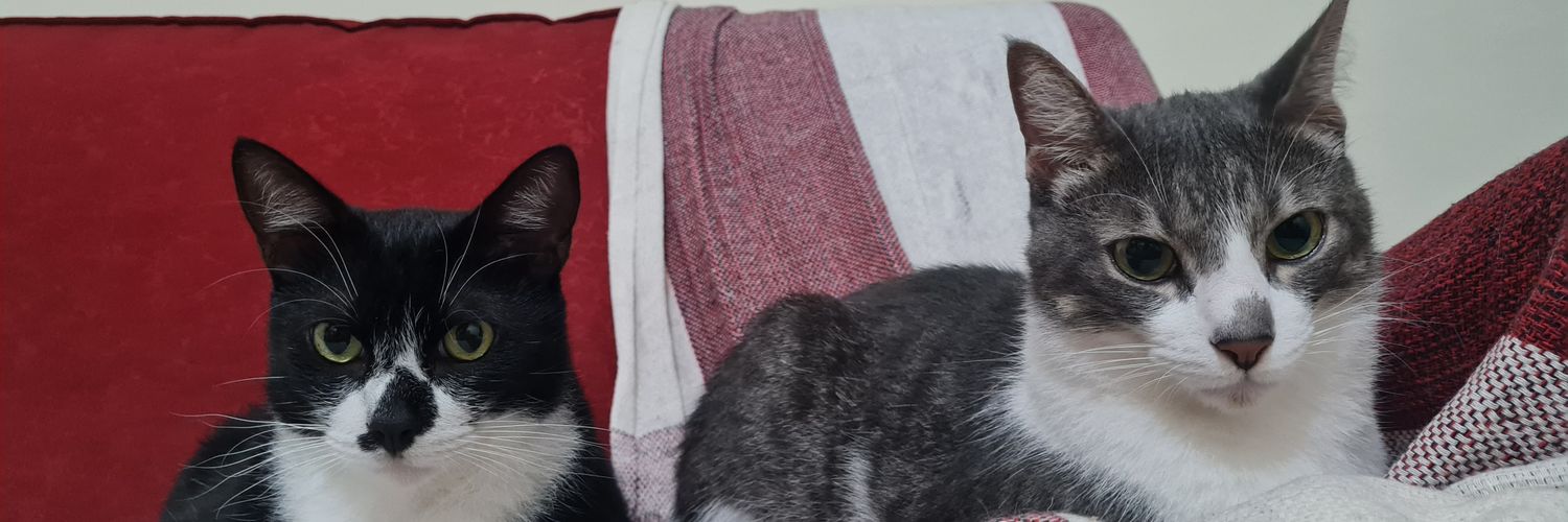 eu, banner