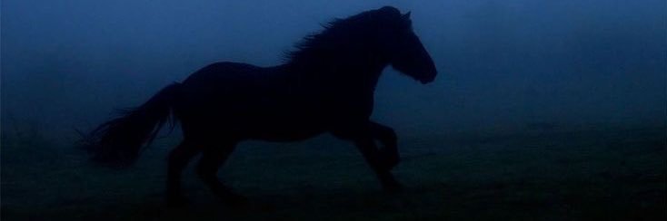 𝒜𝓃𝓃𝒶 ☽ banner