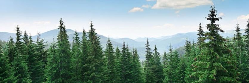 LongLife Structures banner