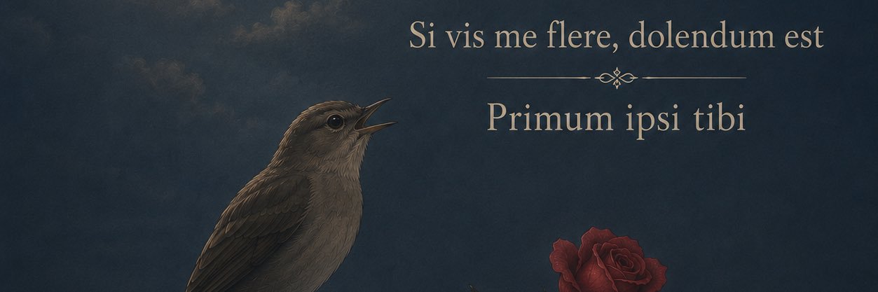 lenkadelmar's profile banner image