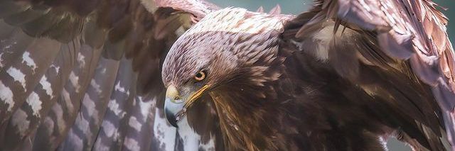 TONINO1709's profile banner image