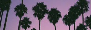 oiokoye's profile banner image