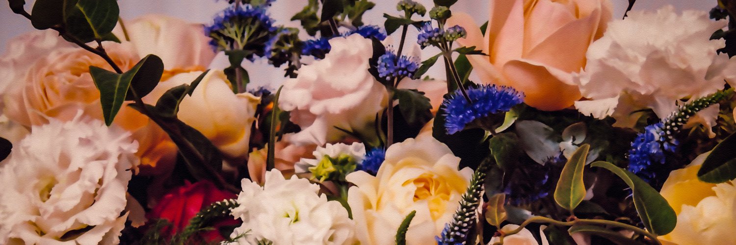 phibbit_'s profile banner image