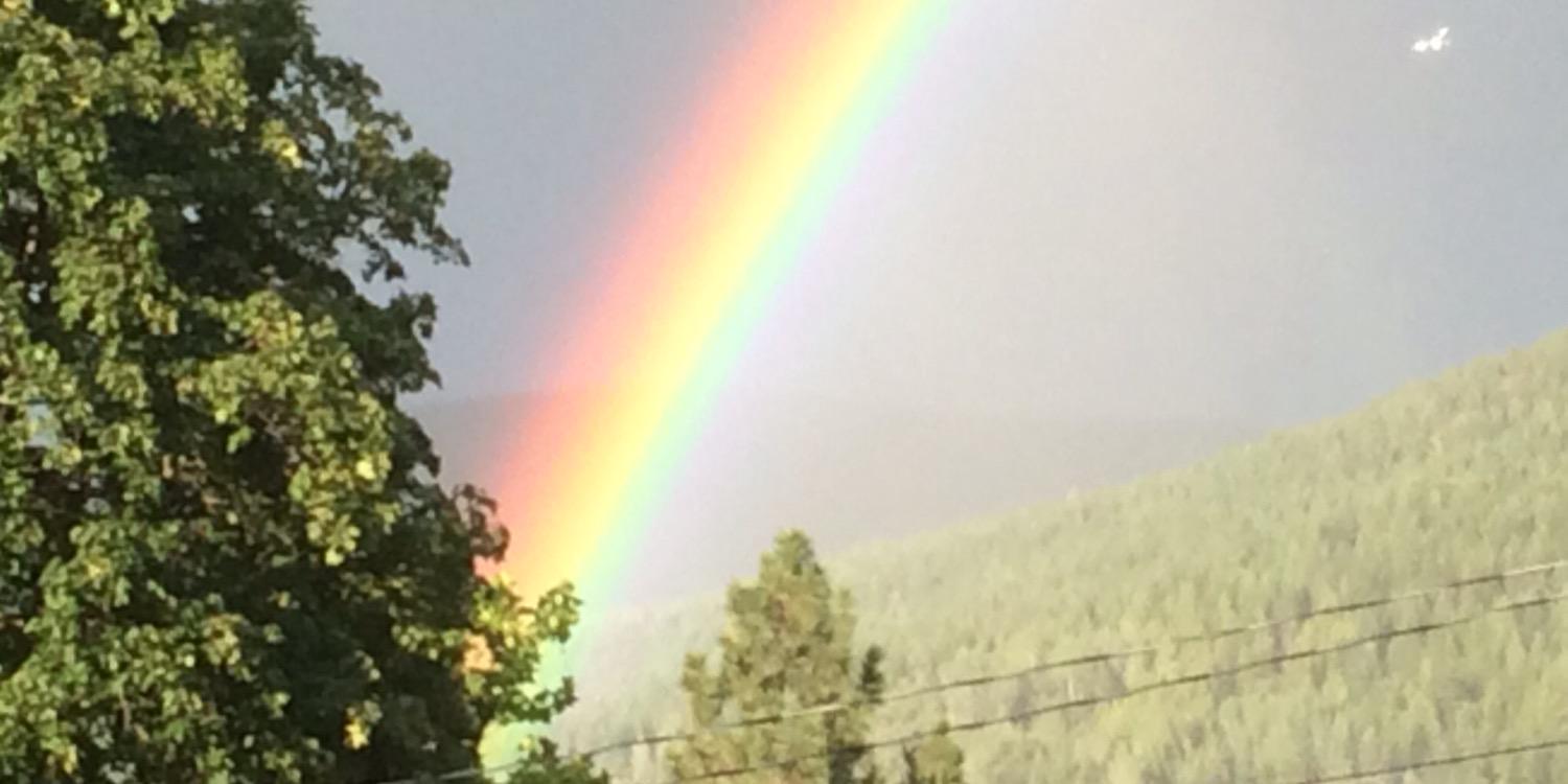 HealthySelkirk's profile banner image