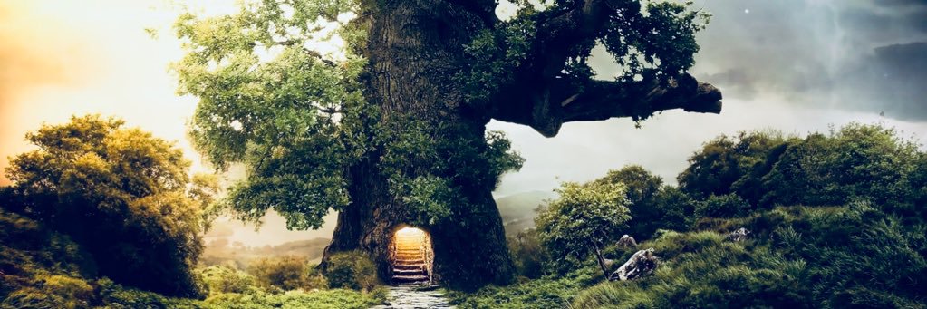 shadyroseco's profile banner image