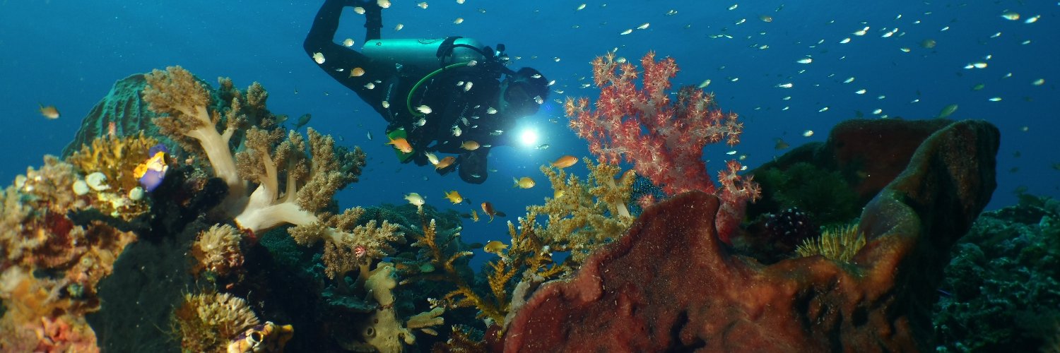 Reef Check Indonesia banner