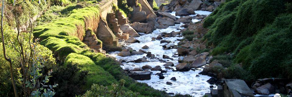 El Río banner