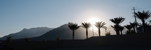 laurenlself Profile Banner