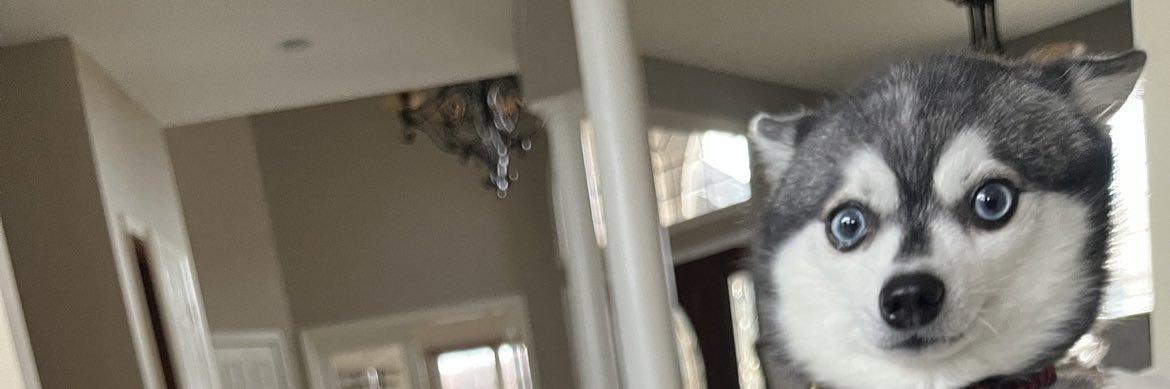 Gabe Roof banner