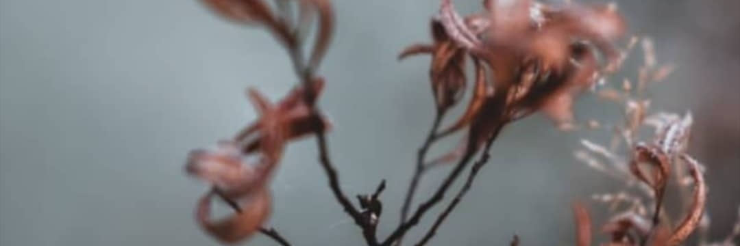 bilgeeeyy's profile banner image