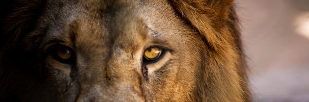 blake__22's profile banner image