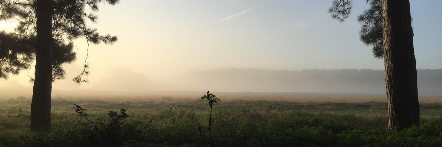 andreclark28's profile banner image