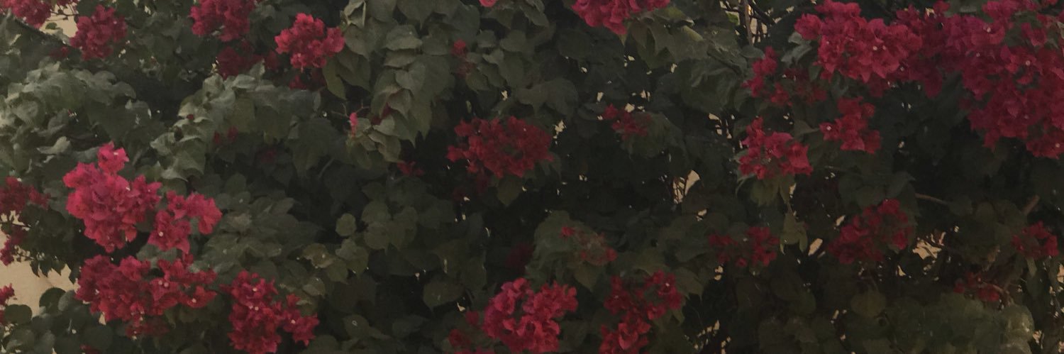 Raneeemo's profile banner image