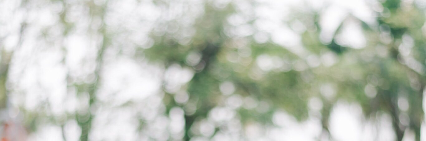 𝐴 𝑘𝑖𝑛𝑑 𝑜𝑓 𝑗𝑎𝑑𝑒 💚 เมษ์เอ๋ยเมษ์หมวย banner