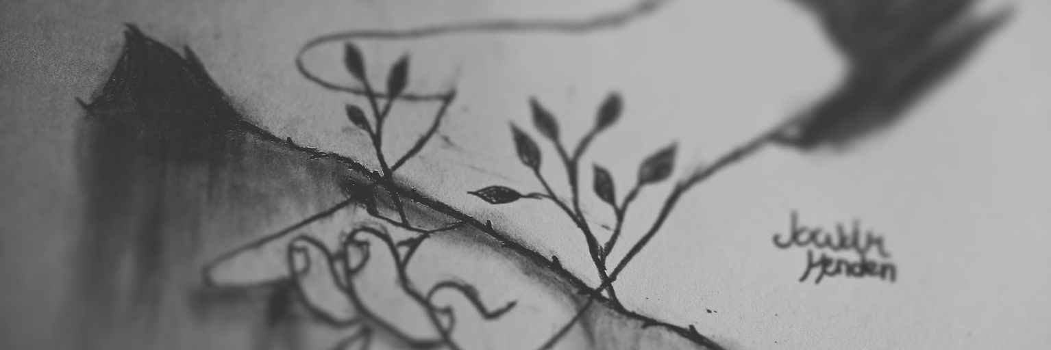 Jokiller45's profile banner image