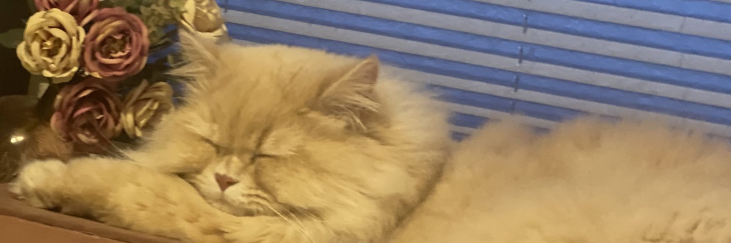 Mel_loos's profile banner image