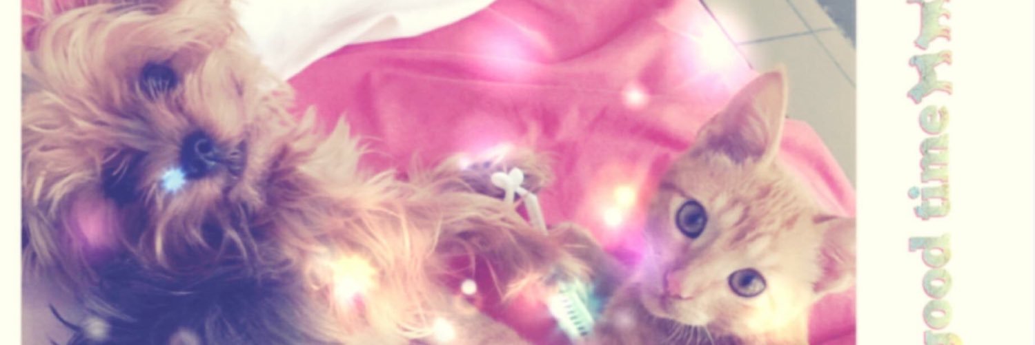 jmiranda7679's profile banner image