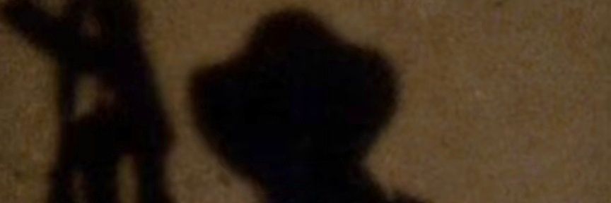 Bappipwpi's profile banner image