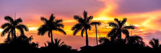 BuyRealEstateFL's profile banner image