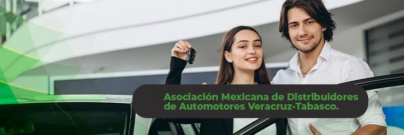 AMDA Veracruz - Tabasco banner