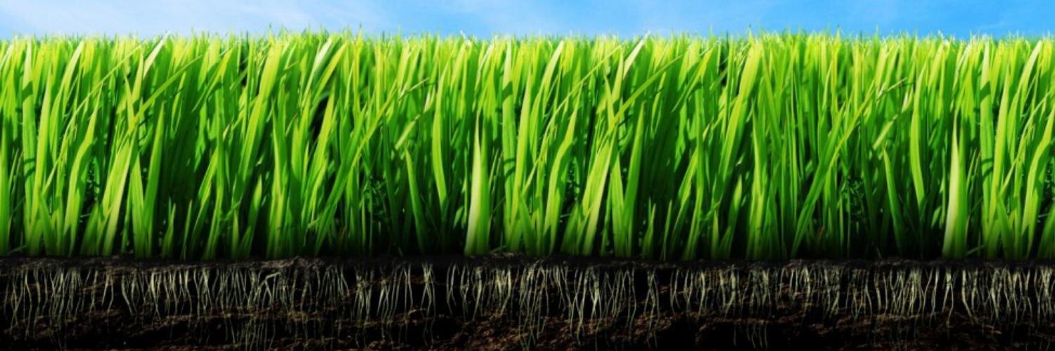 Heide Rampetzreiter banner