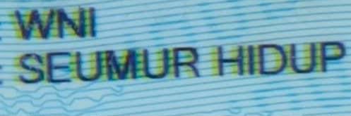 bu lurah banner
