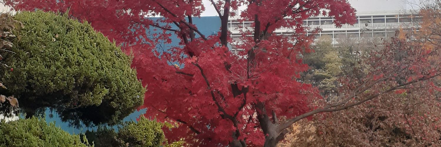 enyonathan's profile banner image