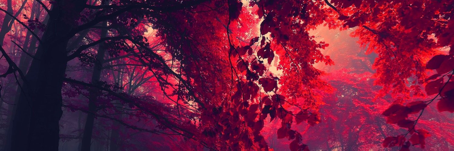 WS_Undertow's profile banner image