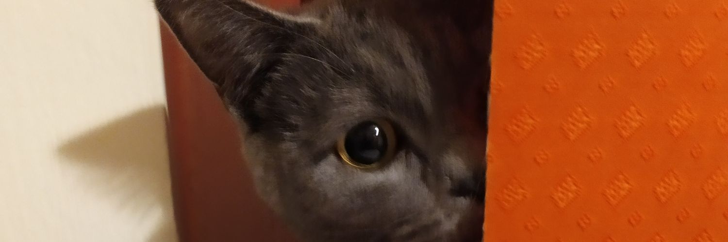 sametbaysalnet's profile banner image