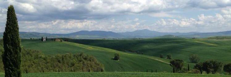 irenuzzina's profile banner image