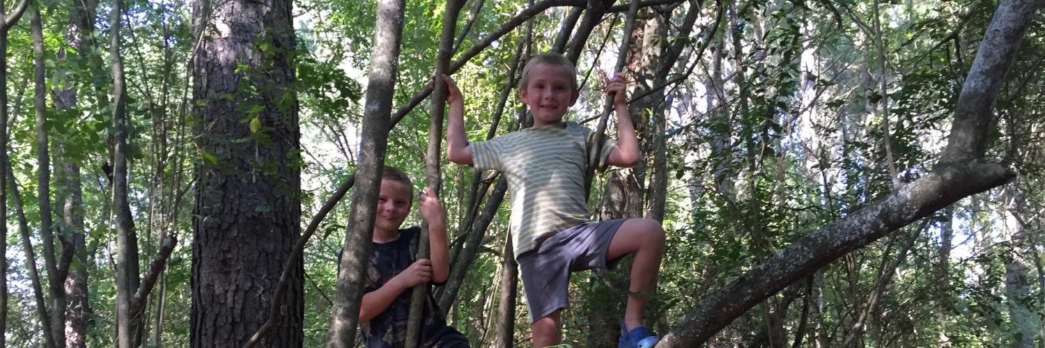 Amber Trantham banner