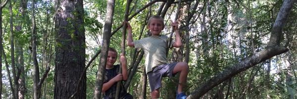 atranth Profile Banner