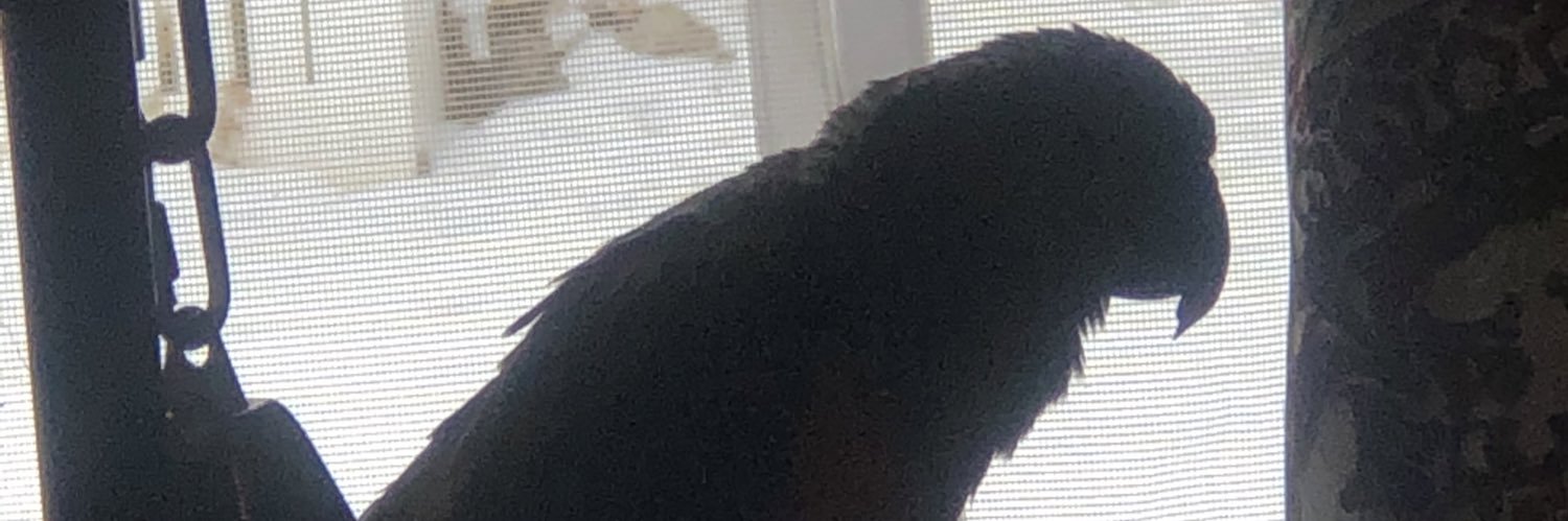 R Jay banner