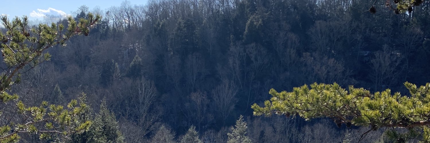 Lysssa_k's profile banner image