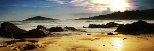 Bantham lovers banner