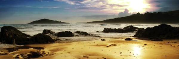 Banthamdevon Profile Banner