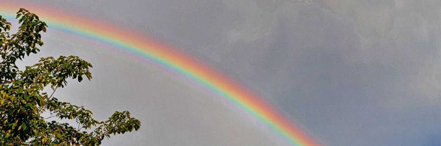LightBlueColour's profile banner image