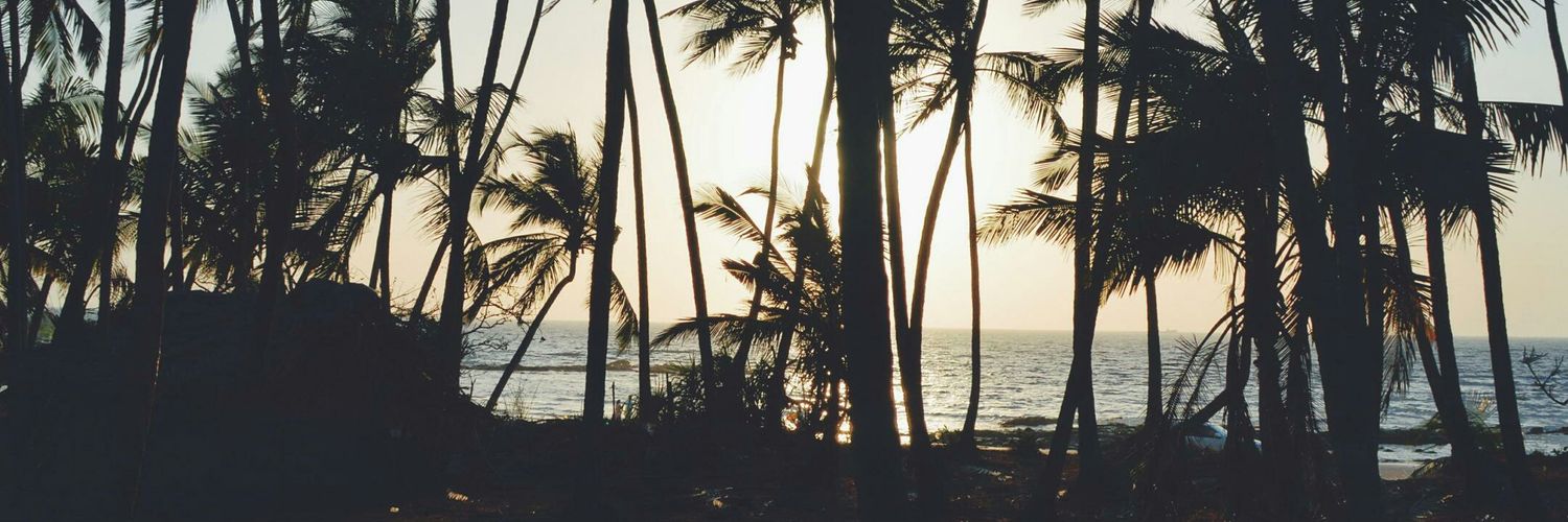 sthefanirs's profile banner image